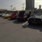 Peterson2023_023 (February 05, 2023)